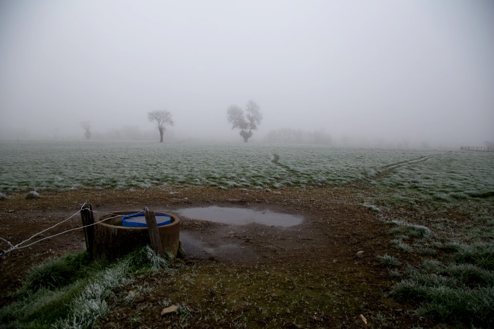 Fog, Campagne, Angers