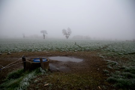 Fog, Campagne, Angers