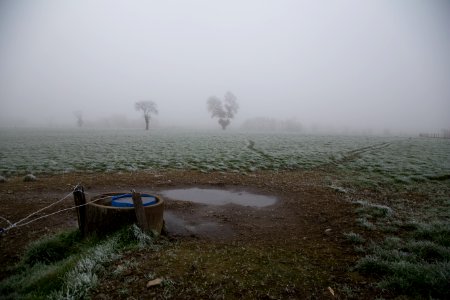 Fog, Campagne, Angers photo