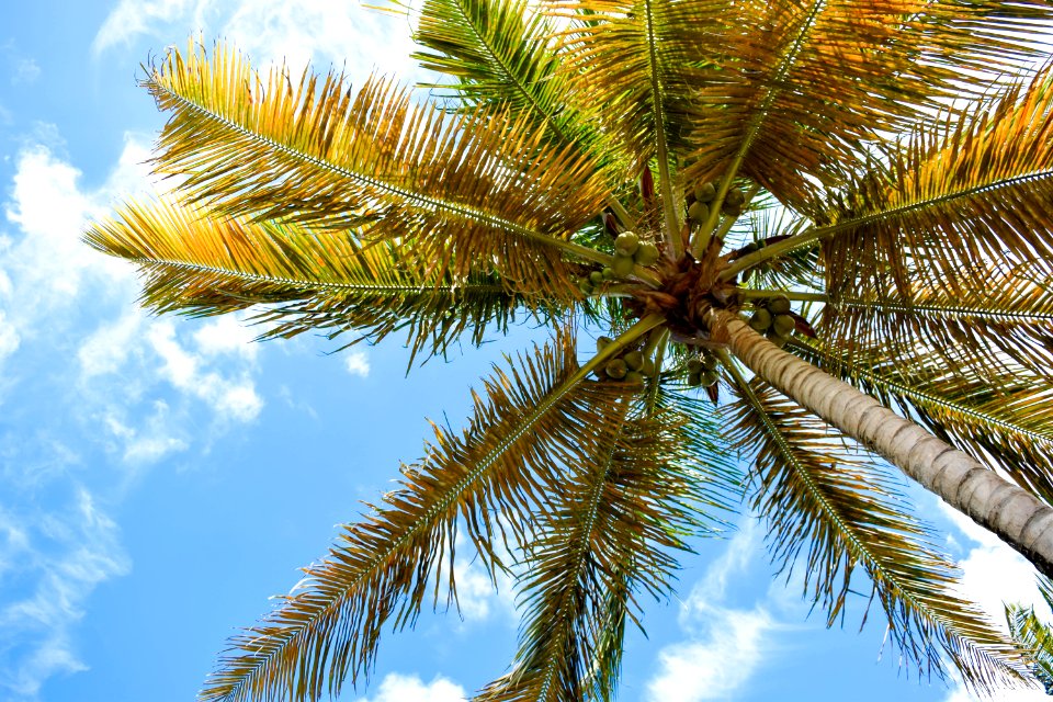 Galley bay, Antigua, Barbuda