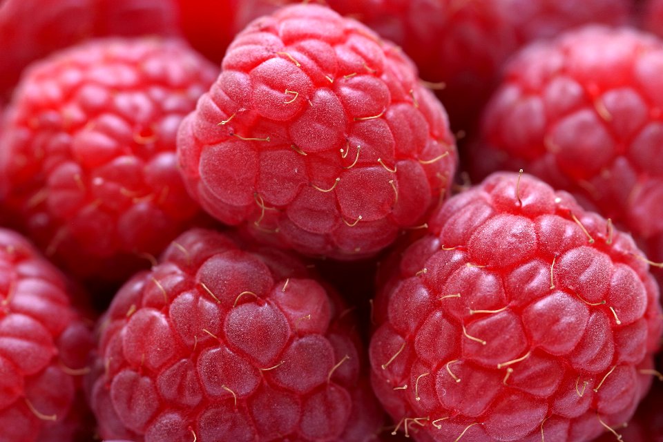 Close up, Food, Fruit