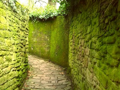 Walk, Heidelberg, Green