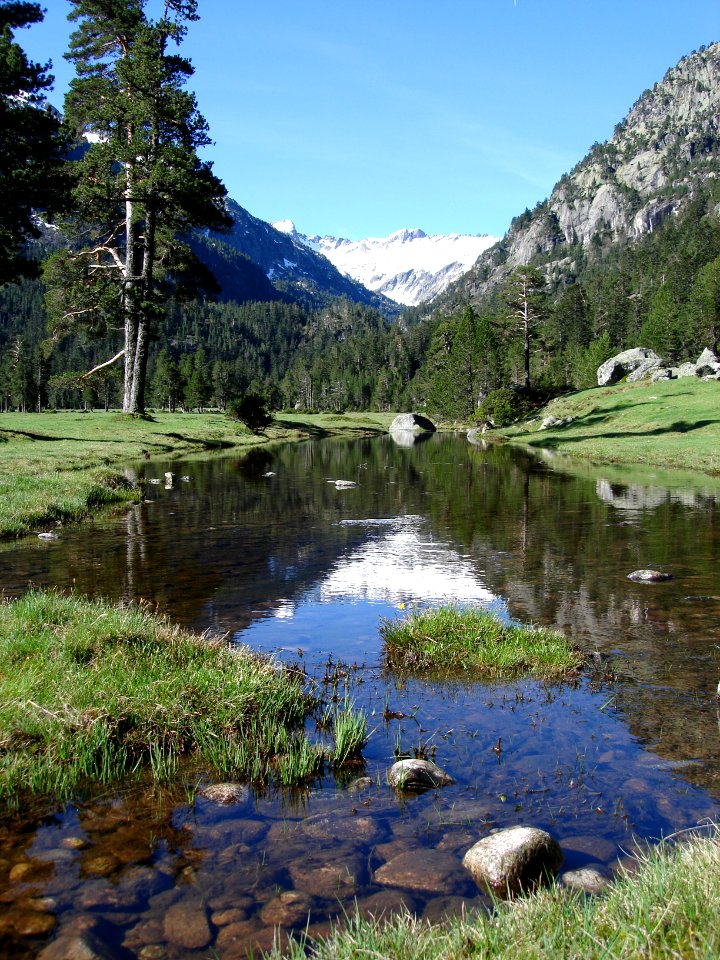 Water, Scape, Walking
