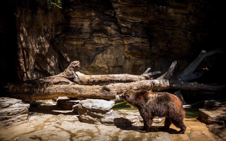 Denver zoo, Denver, United states