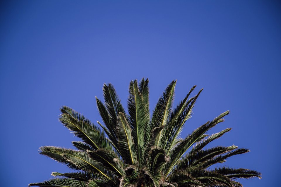 Camps bay, South africa, Cape town