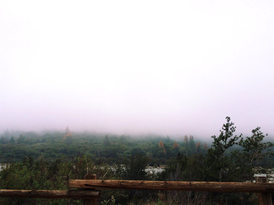 Camp, Outdoors, Nature