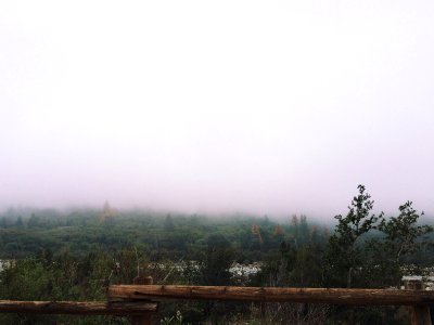 Camp, Outdoors, Nature