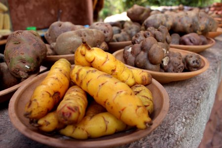 Peru, Cusco, Root photo