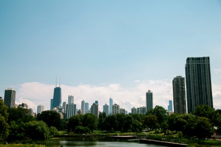 Chicago, Lincoln park zoo, United states photo