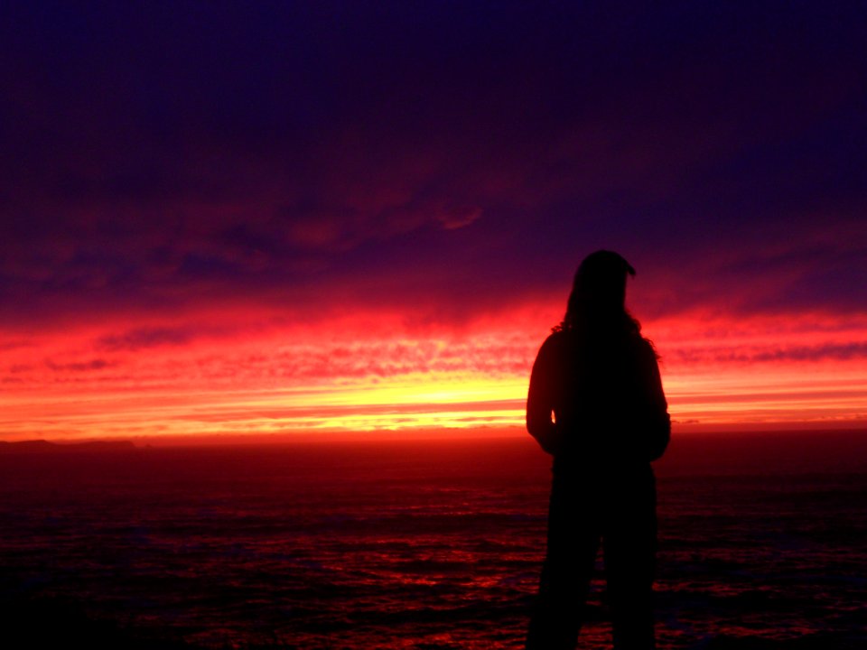 Curio bay, New Zealand, Sunrise