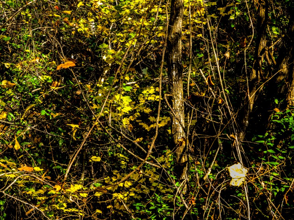 Florence rail trail, Florence, United states