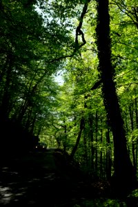 Peneda ger s national park, Portugal, Shadow