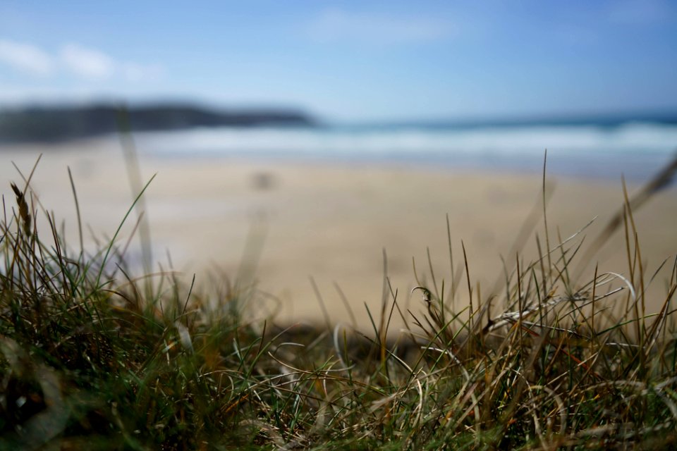 Perranporth, United kingdom, Grass