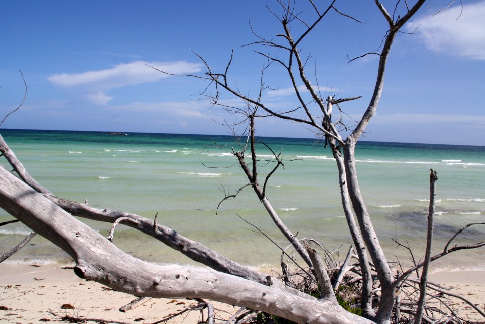 Bahamas terrace, Freeport, The bahamas
