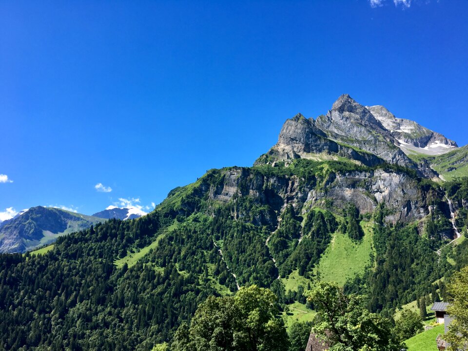 Summer nature mood