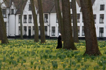 Begijnhof, Brugge, Belgium
