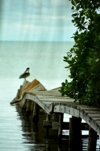 Caye caulker, Belize, Hurricane photo
