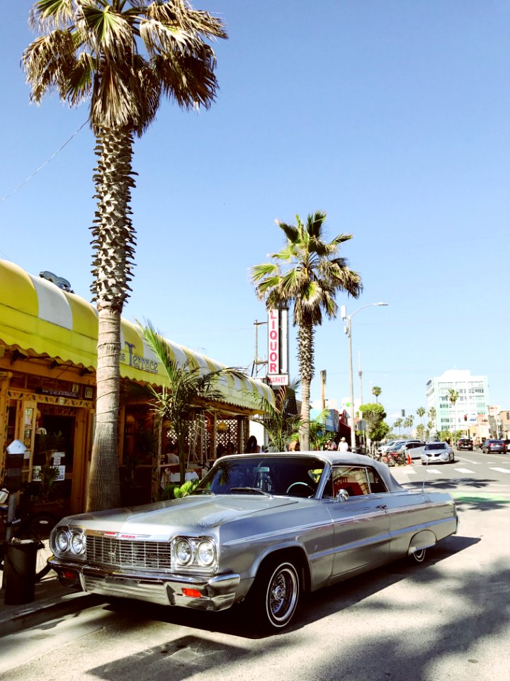 Venice, Los angeles, California