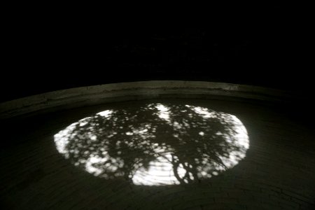 Shadow