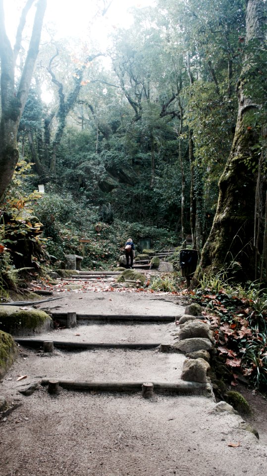 Sintra, Portugal, Hike