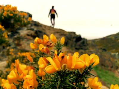 Arthurs seat, Edinburgh, United kingdom
