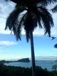 Costa rica, Arboleda rd, Puntarenas province
