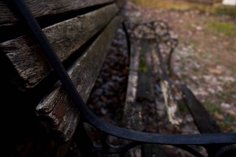 Jackson, United states, Wood