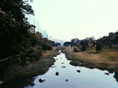 Singapore, Park, Urban