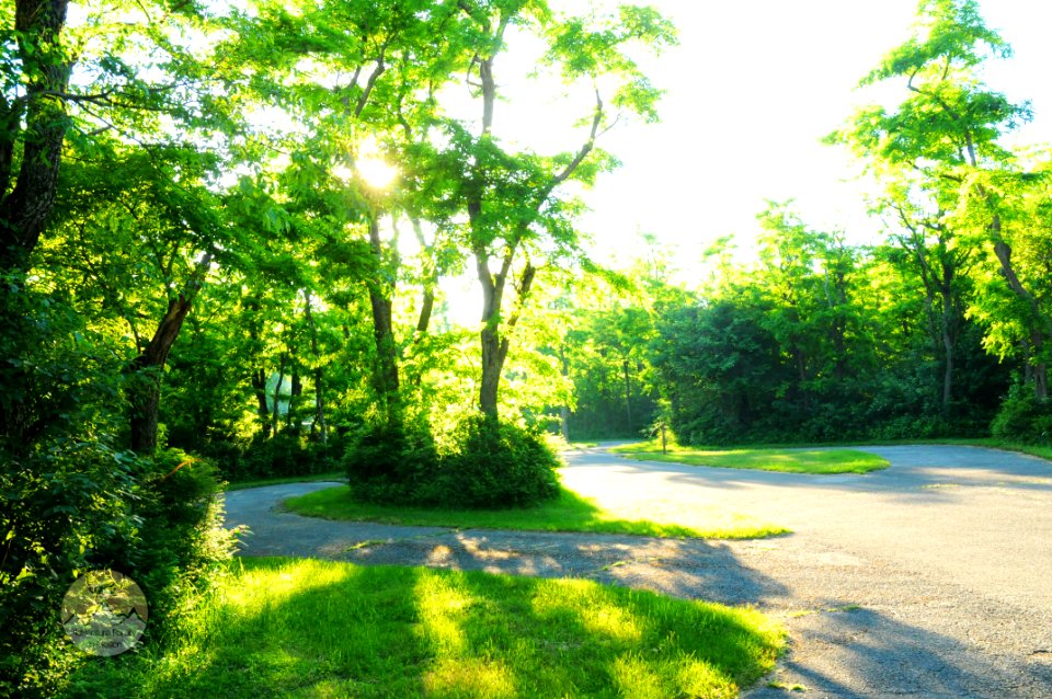 United states, Nature, Photography