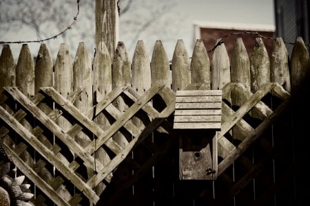 Structure, Urban, Wood photo