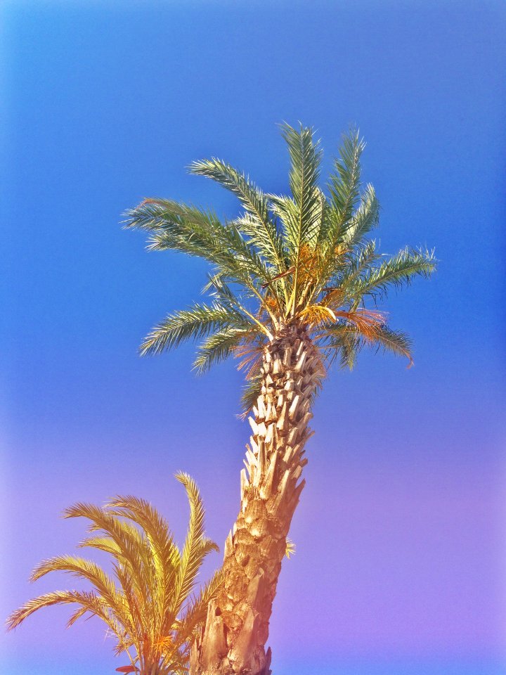 Cannes, France, Sky