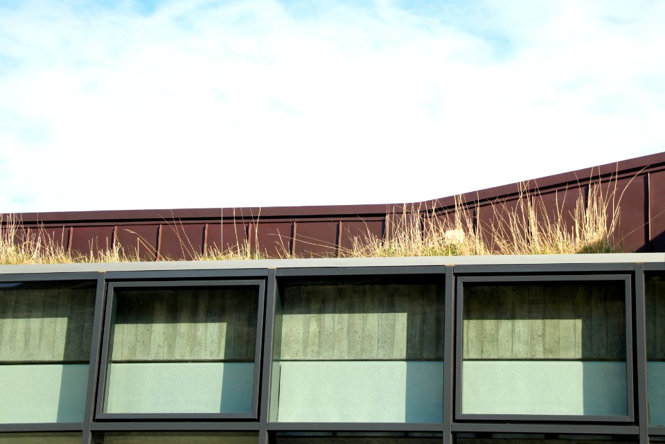 Architecture, Glass, Sod