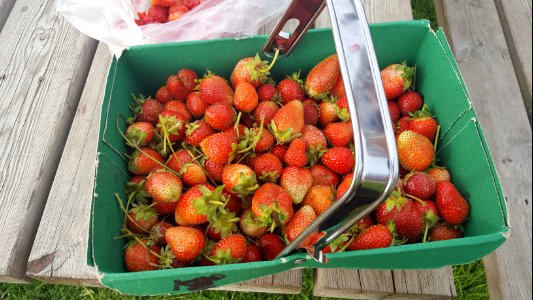 Engl, United kingdom, Fruit