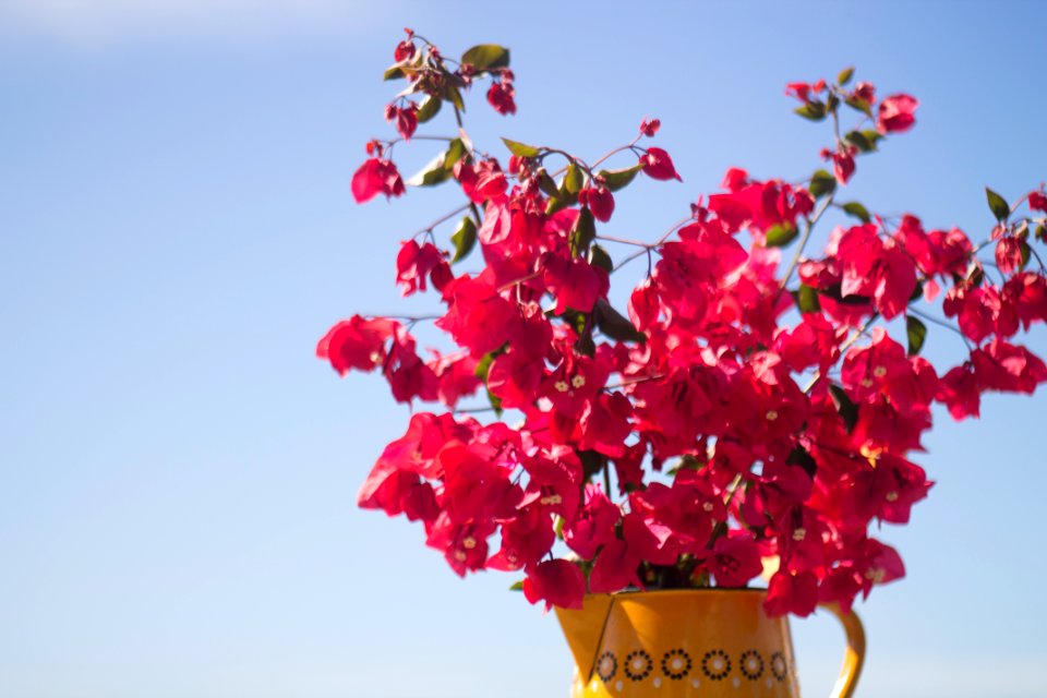 Bueu, Spain, Colours
