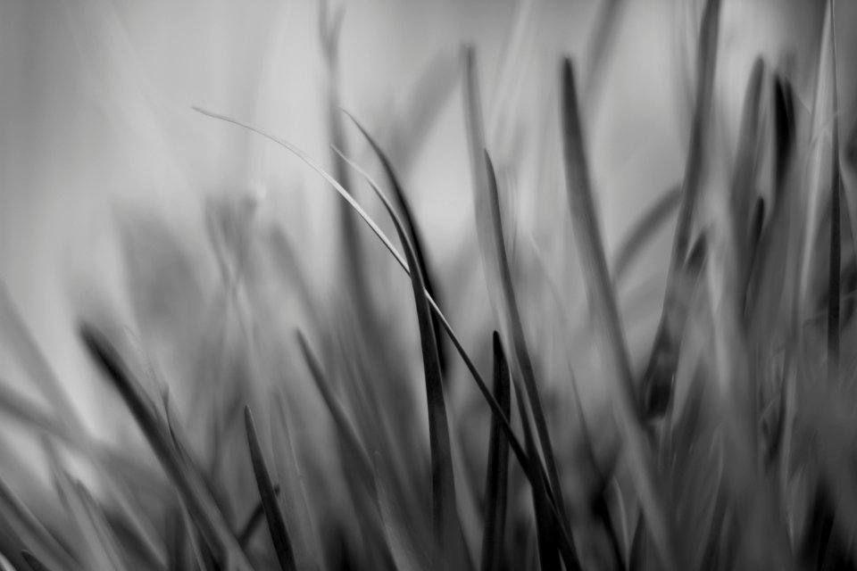 Seminole, United states, Macro