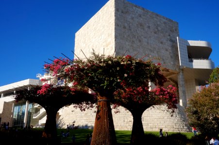 Los angeles, The getty, United states