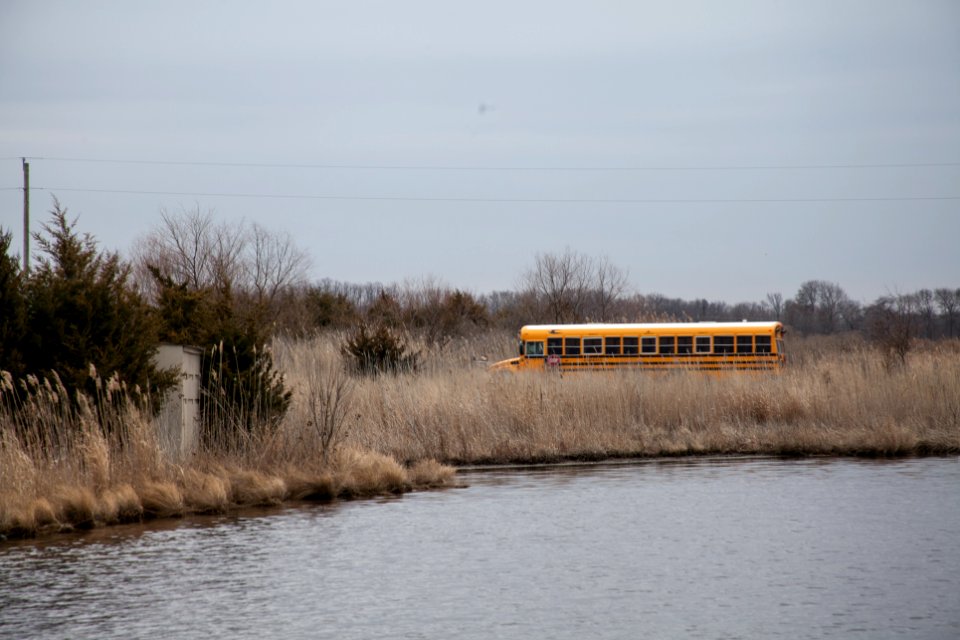 Dover, United states, Schoolbus