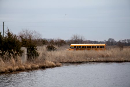 Dover, United states, Schoolbus photo