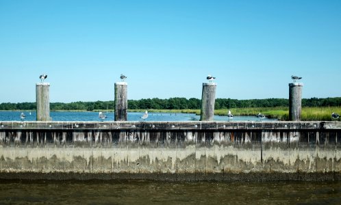 gray concrete building near body of water during daytime photo