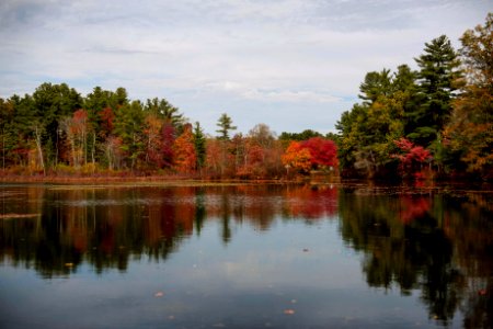 green and red trees beside river under cloudy sky during daytime photo