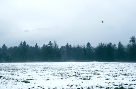 snow field during daytime photo
