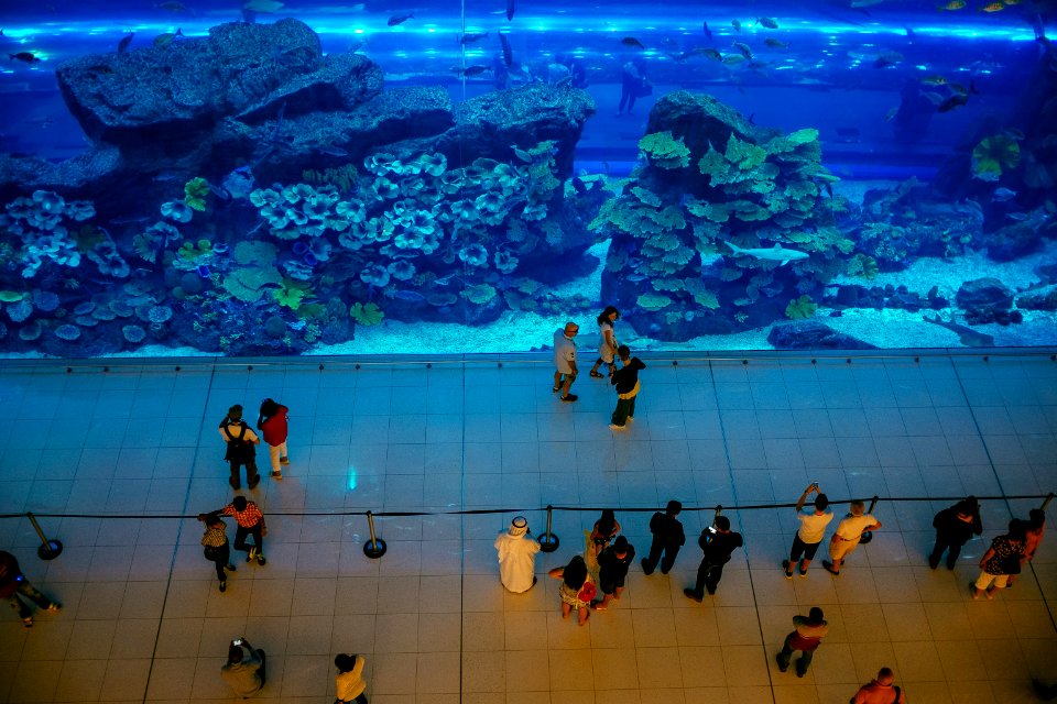 people in swimming pool during daytime photo