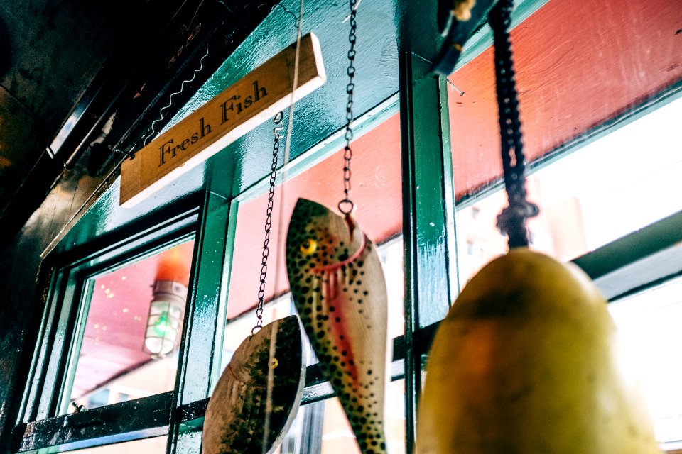 brown and black fish hanging decor