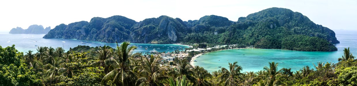 green palm trees near body of water during daytime photo