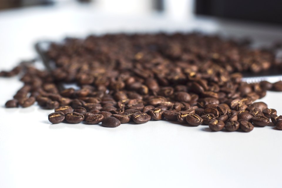 coffee beans photo