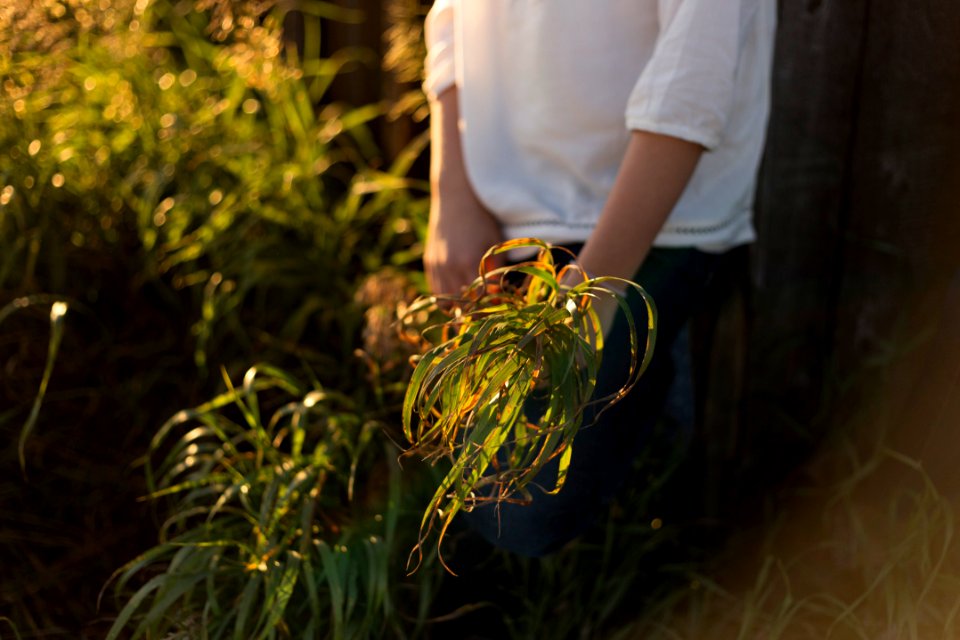 woman holding green plant