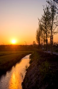 Italy, Parco del basso olona, Rho