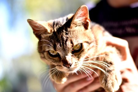 Bokeh, Gift, Portrait