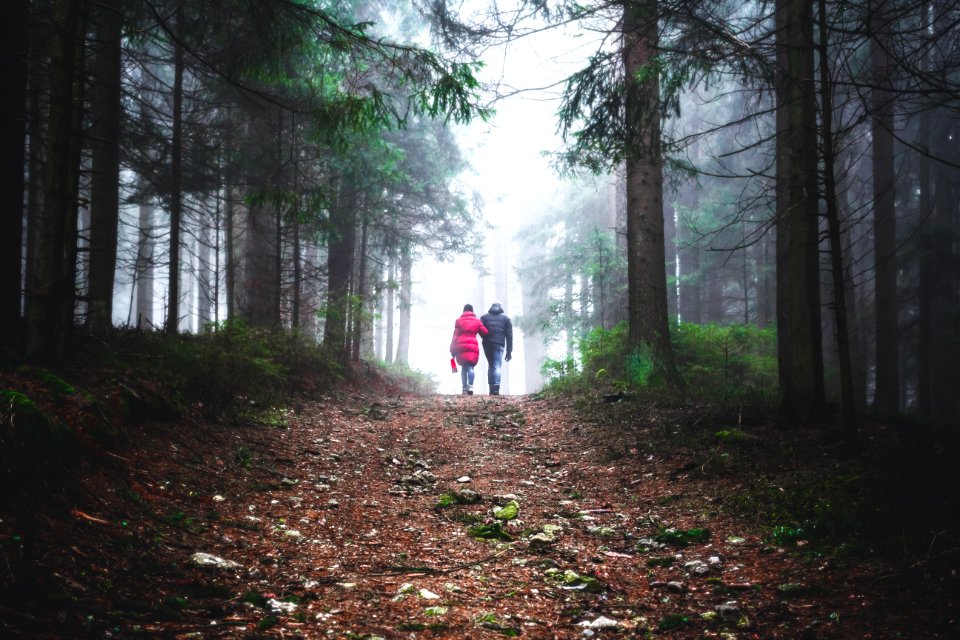 Austria, Travel, Explore