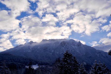 Zahmer kaiser, Walchsee, Austria